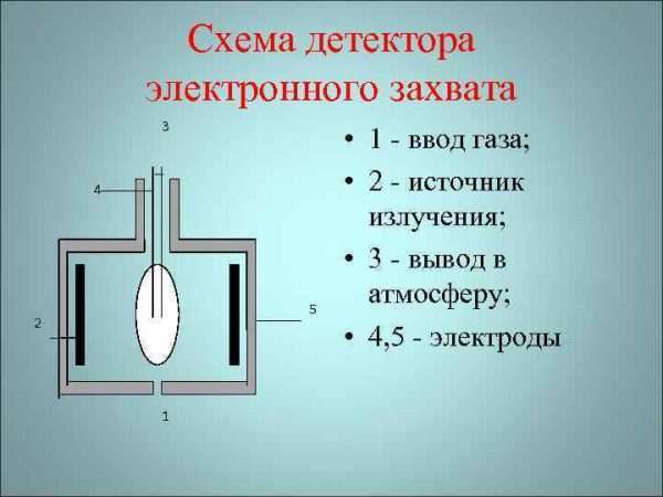 Детектор электронного захвата